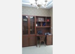 ��ľ�Ͻ����