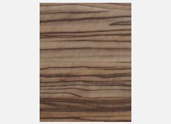 ��W(xu��)���