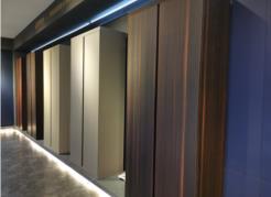 ��ľƽ���T